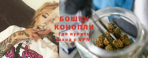 гидра Аркадак