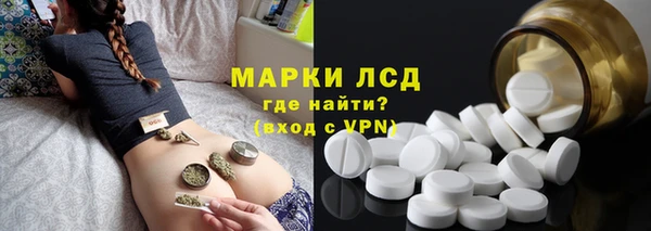 гидра Аркадак