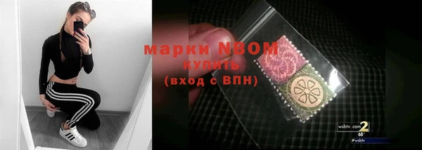 гидра Аркадак