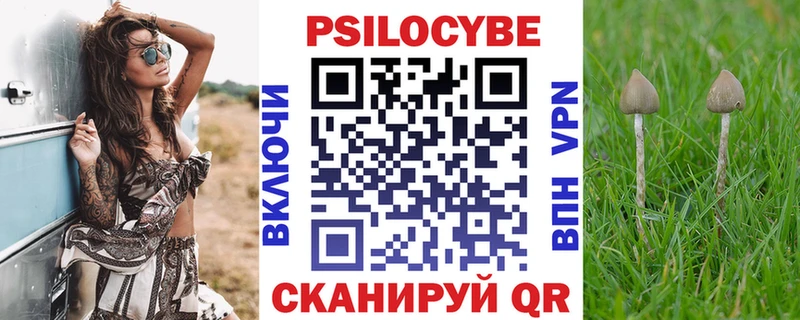 дарнет шоп  мега как зайти  Галлюциногенные грибы ЛСД  shop Telegram  Суоярви 